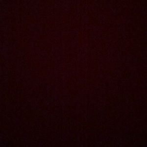 Meet your Posher, Samson